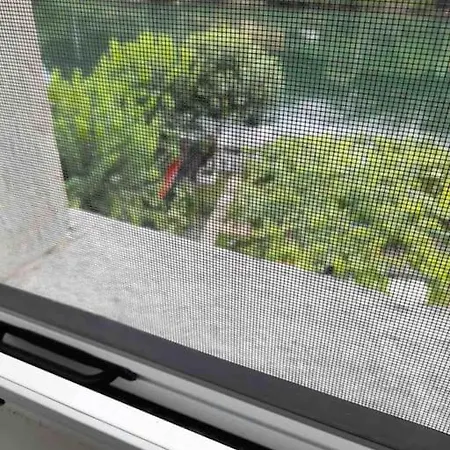 Lariva 11 L'angolo Segreto Di Iseo Sarnico